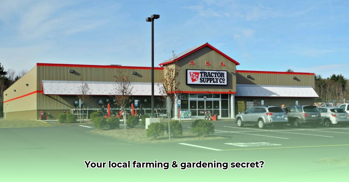 tractor-supply-plaistow